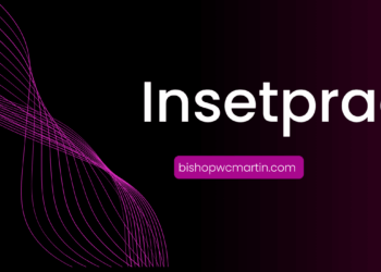 Unlocking the Future of Modular Intelligence: The Rise of Insetprag