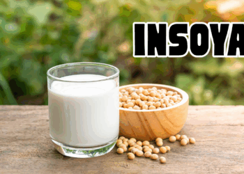 Insoya: The Future of Plant-Based Innovation
