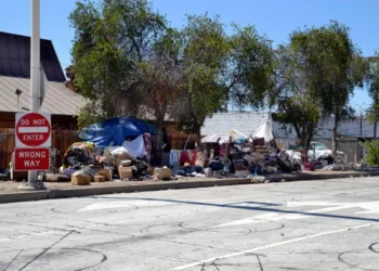 How Much Do Dermal Fillers Typically Cost in Santa Monica?