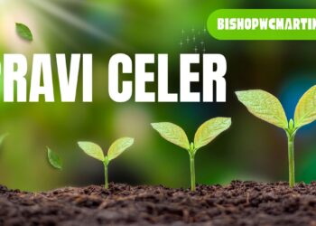 Pravi Celer: The Underrated Superfood You Should Know About