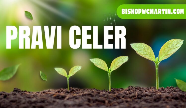 Pravi Celer: The Underrated Superfood You Should Know About