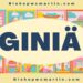 Giniä: A Deep Dive into the Hidden Power Behind the Word