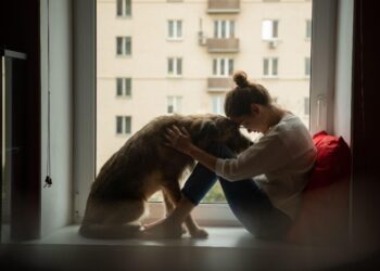 A young woman is comforted by a golden retriever service dog for anxiety.]