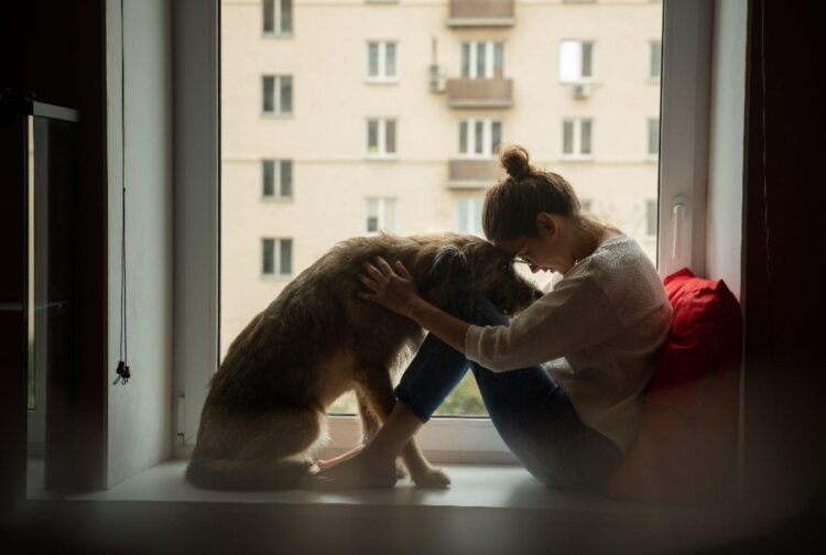 A young woman is comforted by a golden retriever service dog for anxiety.]