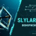 The Rise of the Slylar Box: Innovation, Utility, and the Future of Smart Storage
