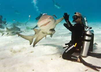 Activities to Do in Fiji