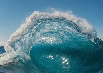 Is Dumpster Tech the Wave of the Future or a Passing Fad?