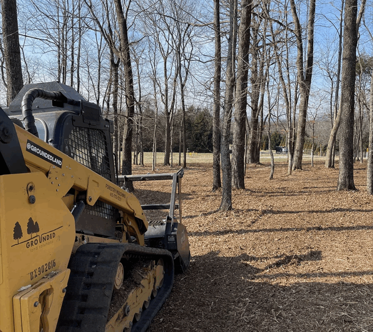 Clearing the Way: The Complete Guide to Forestry Mulching and Its Benefits