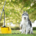 The Ultimate Guide to Responsible Pet Waste Cleanup: Why the Right Tools Matter