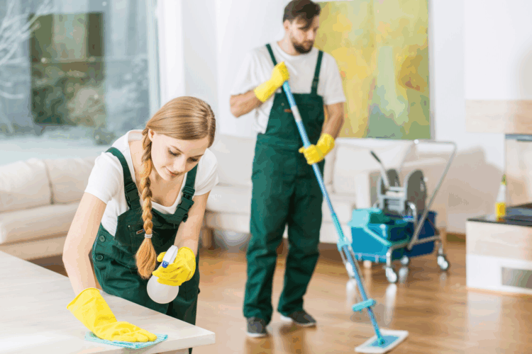 Unlocking a Cleaner, Healthier Home: The Ultimate Guide to Choosing and Benefiting from a Professional House Cleaning Service