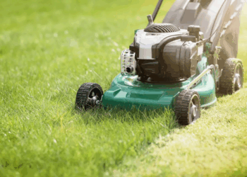 Mastering the Art of Lawn Maintenance: A Complete Guide for a Healthier Yard