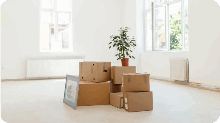 Ensuring a Smooth Transition with Professional Solutions Designed for Stress-Free Move Out Cleaning