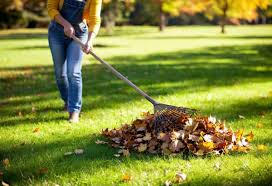 Essential Practices and Seasonal Strategies for Achieving and Maintaining a Beautiful and Healthy Lawn All Year Round