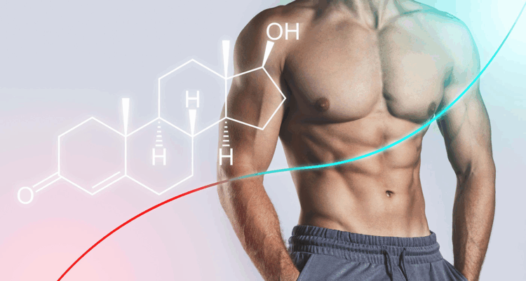Understanding Testosterone Replacement Therapy with Limitless TRT & Aesthetics