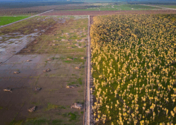 The Essential Guide to Responsible Land Transformation