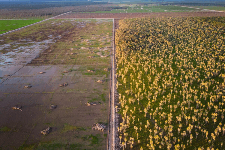 The Essential Guide to Responsible Land Transformation