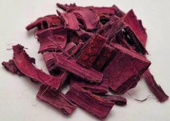 Mimosa Hostilis Root Bark for Sale