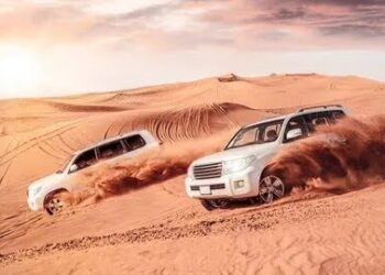Safari Tour Dubai: A Day in the Desert Like Never Before