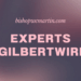 Experts Aigilbertwired: A Deep Dive into Innovation, Insight, and Influence