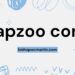 Lapzoo com: A Fresh Approach to Online Retail