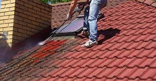 How To Clean a Tile Roof: A Complete Guide for Waterfront Homes