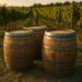 How Wine Barrel Suppliers Are Supporting Sustainable Winemaking 