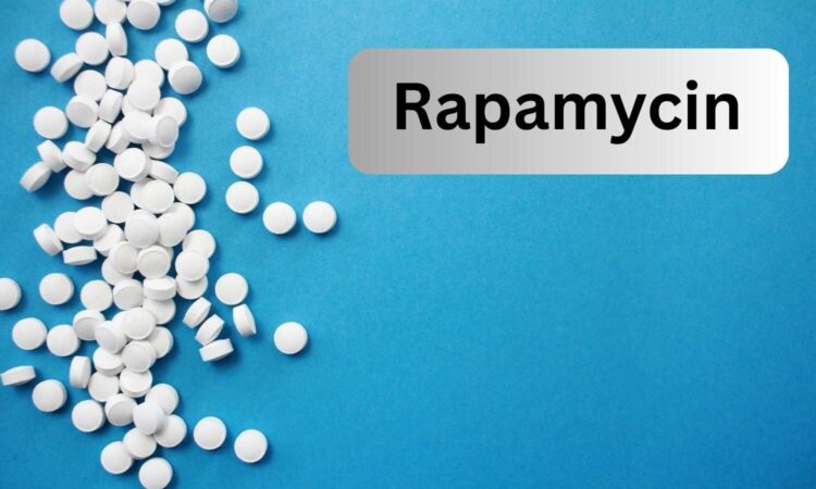 Rapamycin Supplement: Exploring Its Role, Mechanism, and Potential