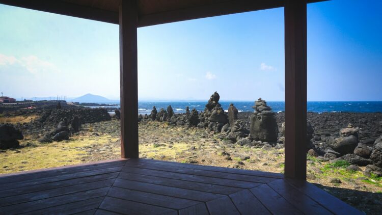 Staying in Kaikoura: What You Need to Know