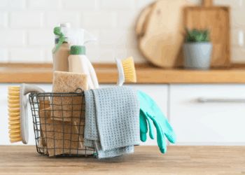 Eco-Friendly House Cleaning: Safe Solutions for a Healthy Home