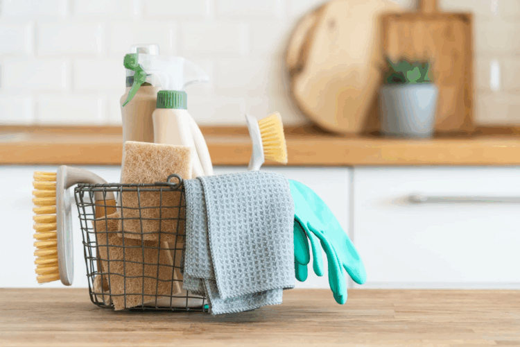 Eco-Friendly House Cleaning: Safe Solutions for a Healthy Home