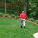 When to Call TurfMark: Signs Your Lawn Needs Professional Intervention