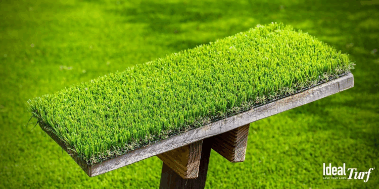 Top 6 Qualities To Check On Artificial Grass Suppliers