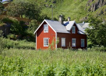 How to Deal with Insects in Your Norwegian Home: A Practical Guide