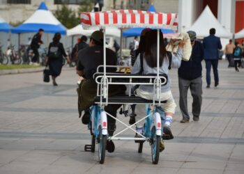 More Than Just a Push Cart: How the Right Trolley Can Revolutionize Your Workflow