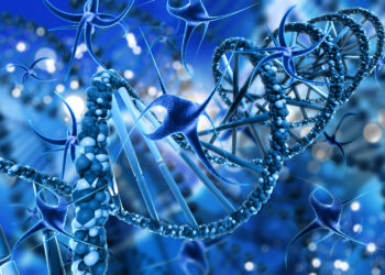 Mesenchymal Stem Cells and Exosomes: The Next Therapeutic Wave