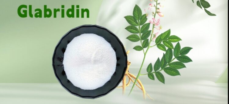 The Power of Natural Actives: Glabridin and Portulaca Oleracea L. in Skincare