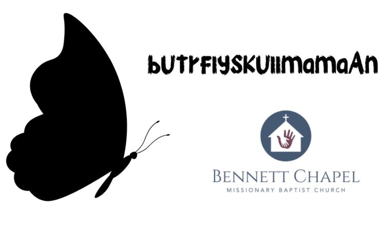 The Story and Symbolism of butrflyskullmamaAn Unfolding of Identity, Art, and Mystery in the Digital Age