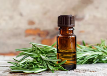 Rosemary Hair Growth Oil: A Natural Path to Strong and Healthy Hair