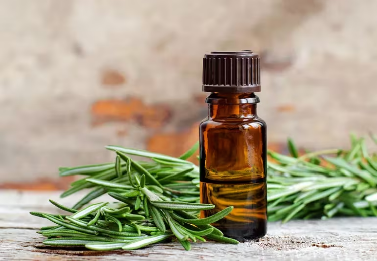 Rosemary Hair Growth Oil: A Natural Path to Strong and Healthy Hair
