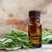 Rosemary Hair Growth Oil: A Natural Path to Strong and Healthy Hair