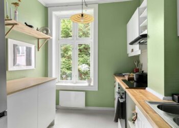 Green Products: What to Use for Eco-Friendly Home Cleaning
