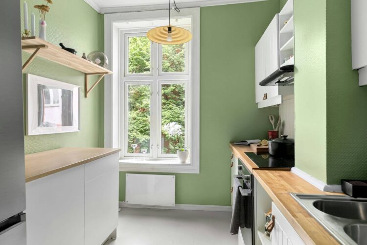 Green Products: What to Use for Eco-Friendly Home Cleaning
