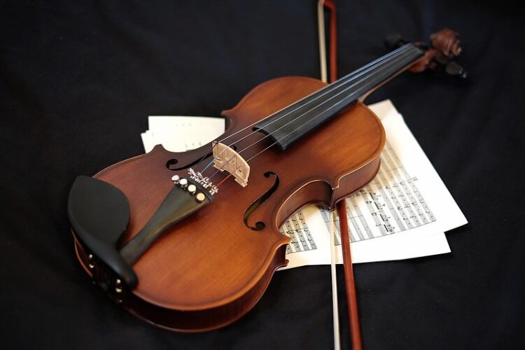 Common Myths About Beginner Violins
