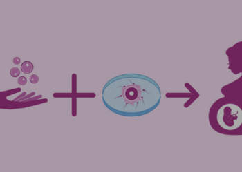 IVF Journey