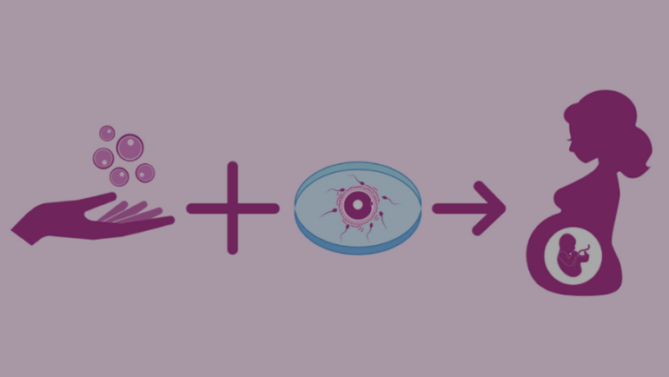 IVF Journey