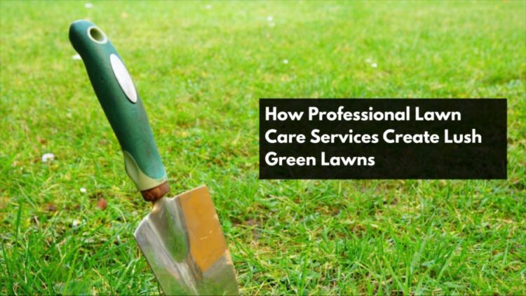 How Professional Lawn Care Services Create Lush Green Lawns