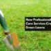 How Professional Lawn Care Services Create Lush Green Lawns