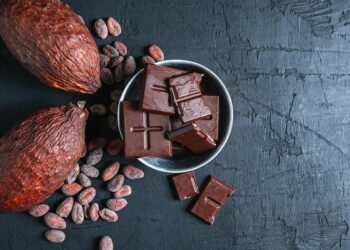 The world has a cocoa problem that we can’t afford to ignore 