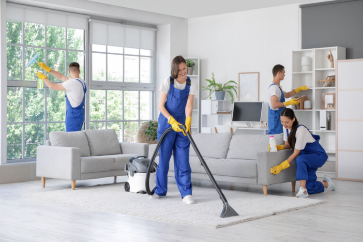 Professional Cleaning