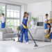 Professional Cleaning